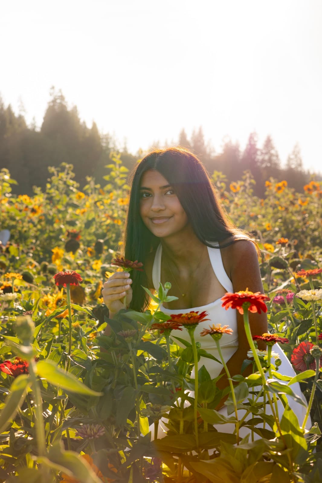 Senior portrait session in a zinnia field